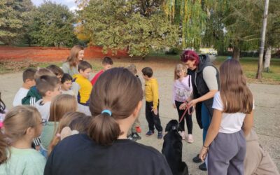 POMAŽEMO NAPUŠTENIM ŽIVOTINJAMA